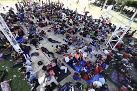 Migrants2 Google AP